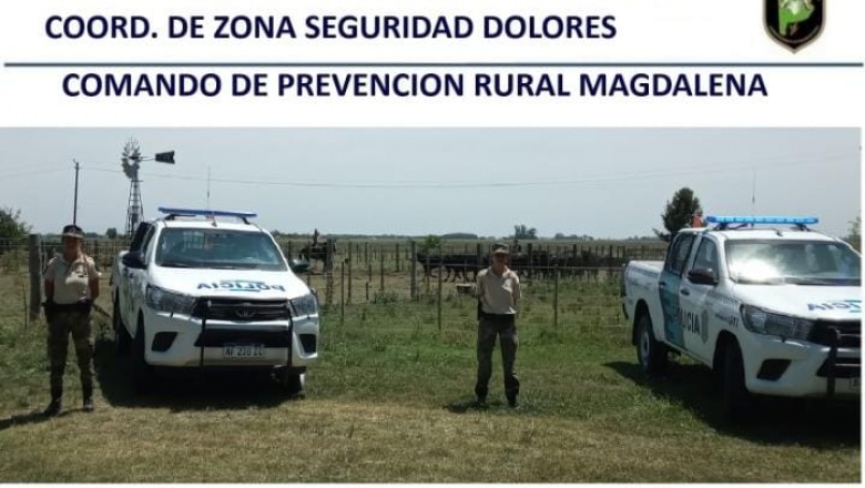 La Policía Rural de Magdalena recupero 13 vaquillonas robadas.