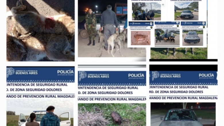 SIGUEN LOS OPERATIVOS PARA FRENAR A LOS CAZADORES Y GALGUEROS EN NUESTRA REGIÓN
