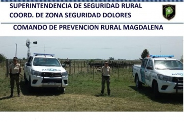La Policía Rural de Magdalena recupero 13 vaquillonas robadas.