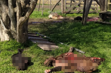 Golpe a la Seguridad Rural