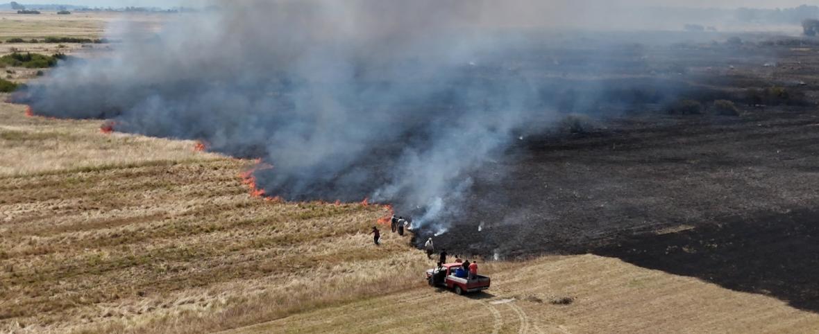Trabajo profesional y regional: bomberos de Magdalena, Bavio y Verónica actuaron durante más de seis horas en un incendio forestal