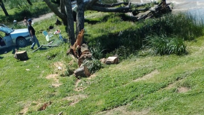 Vandalismo en el balneario: destruyen árboles y plantas en un espacio que es de todos