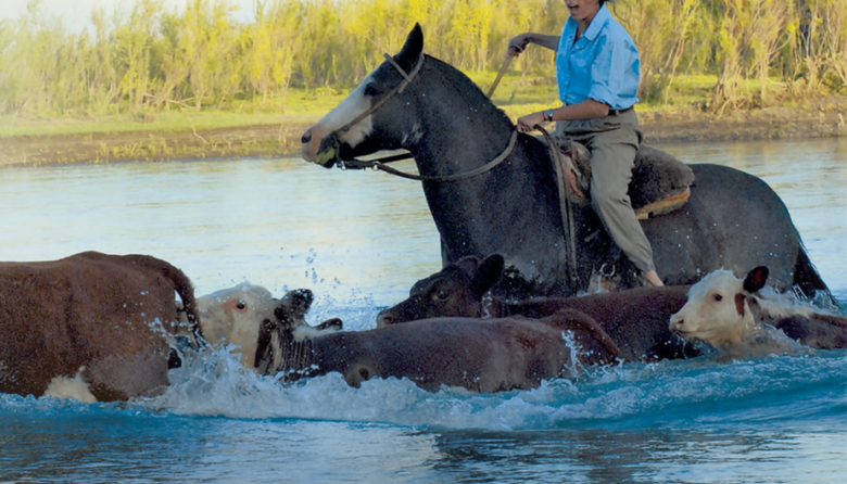 Vieytes se prepara para la 1ª Fiesta Criolla de la Mujer Rural