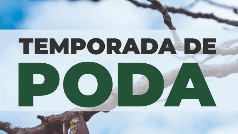 Consejos clave para podar de forma segura y responsable