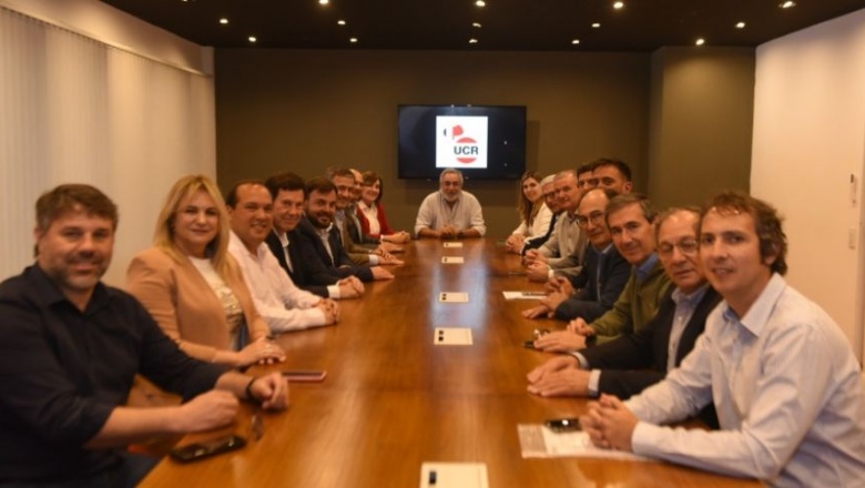 Solo diez intendentes radicales lograron sostenerse sin alianzas en la Provincia