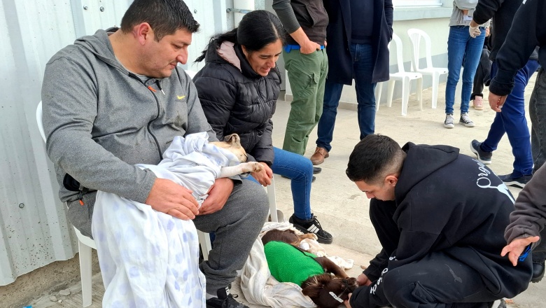 Casi 90 mascotas fueron castradas en la nueva jornada del CRIM