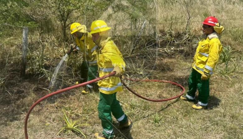 Incesante trabajo de Bomberos: los incendios forestales concentran el 90% de las salidas