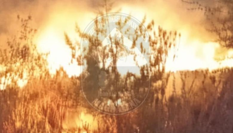 Incendio forestal en Magdalena movilizó a Bomberos Voluntarios