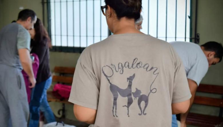 Realizaron 127 castraciones en una jornada masiva junto a Love Animals en el CRIM