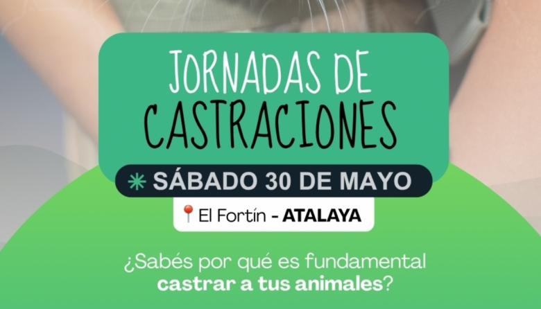 Este sábado habrá una nueva jornada gratuita de castraciones en Atalaya