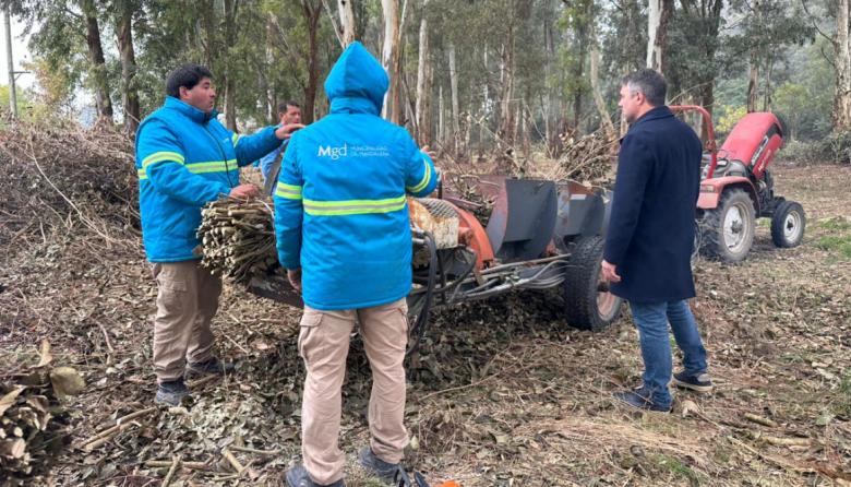 Hourcade avanza con la recuperación del Monte de Empalme en Magdalena