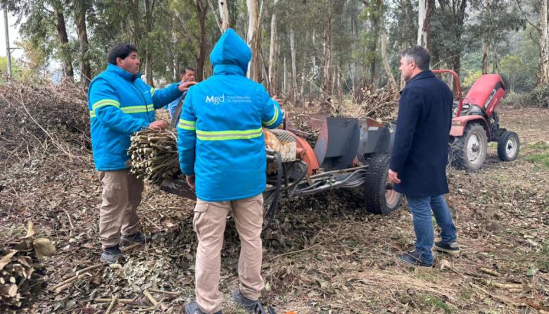 Hourcade avanza con la recuperación del Monte de Empalme en Magdalena