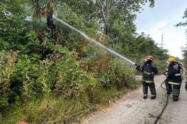 Incendio de palmera en Ruta 11: rápido accionar de Bomberos de Magdalena