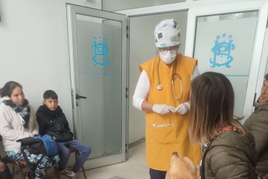 Exitosa primera jornada de castración masiva en Magdalena