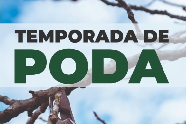 Consejos clave para podar de forma segura y responsable