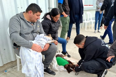 Más de 600 mascotas castradas en lo que va del año en Magdalena