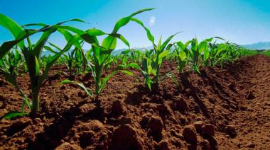 La Sociedad Rural de Magdalena impulsa la salud del suelo y organiza una jornada ganadera
