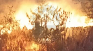 Incendio forestal en Magdalena movilizó a Bomberos Voluntarios