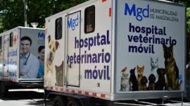 Magdalena realizará una jornada de castraciones masivas en el CRIM con turno previo