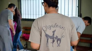 Realizaron 127 castraciones en una jornada masiva junto a Love Animals en el CRIM