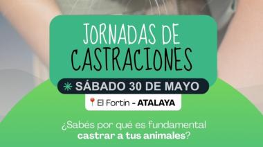 Este sábado habrá una nueva jornada gratuita de castraciones en Atalaya