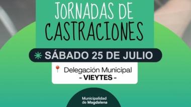Habrá una nueva jornada gratuita de castraciones en Vieytes