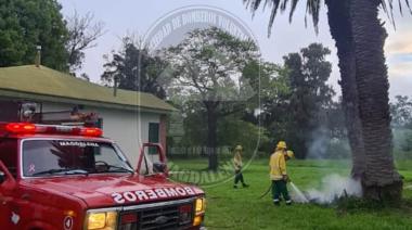 Bomberos acudieron a un incendio forestal en el camino El Espinillo
