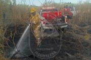 Intensa jornada de incendios forestales y trabajo regional de bomberos en Magdalena y la zona