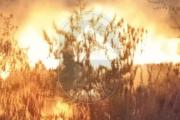 Incendio forestal en Magdalena movilizó a Bomberos Voluntarios