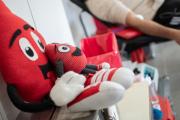 El Hospital Santa María Magdalena invita a participar de una nueva colecta de sangre