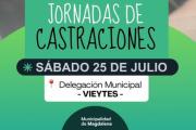 Habrá una nueva jornada gratuita de castraciones en Vieytes