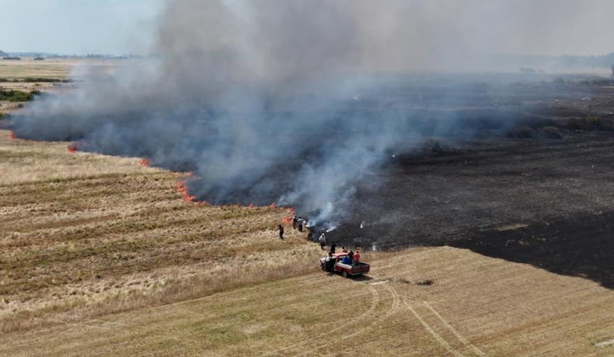 Trabajo profesional y regional: bomberos de Magdalena, Bavio y Verónica actuaron durante más de seis horas en un incendio forestal